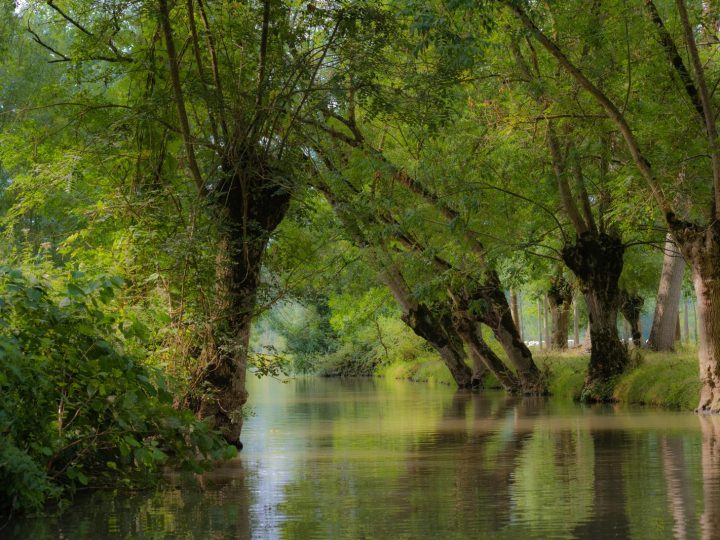 Fiume Livenza: Un prezioso tesoro fluviale tra natura e storia